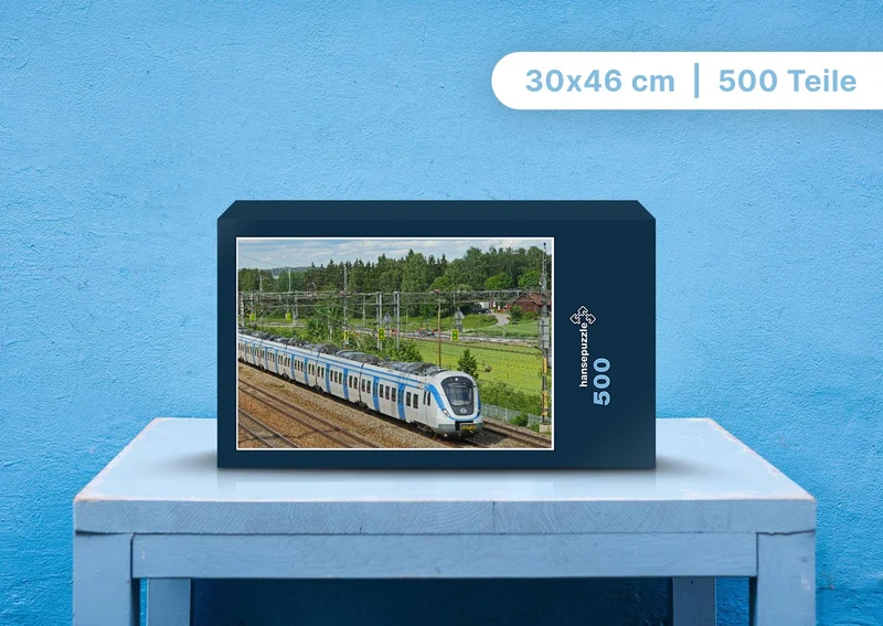 106015 Fortbewegung - Zug Puzzle