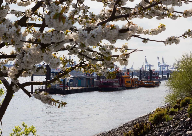108077 Orte - Hamburg Puzzle