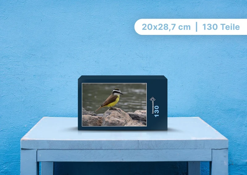 107471 Tierwelt - Vogel Puzzle