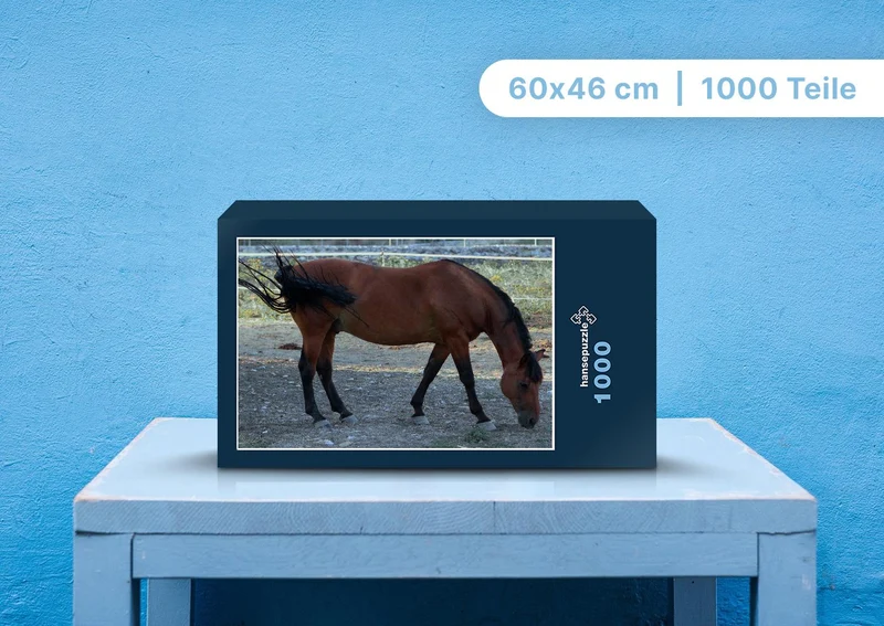 106361 Tierwelt - Pferd Puzzle