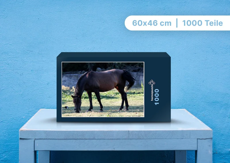 106378 Tierwelt - Pferd Puzzle