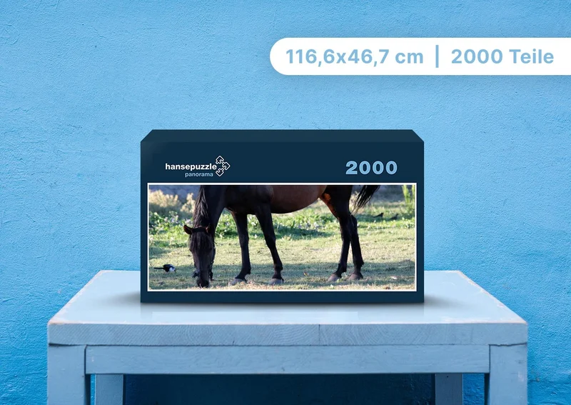106378 Tierwelt - Pferd Puzzle