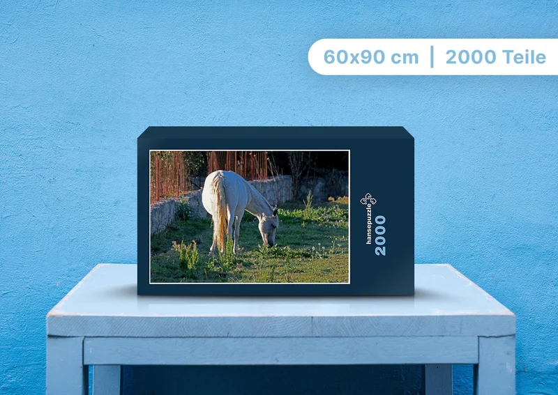 106403 Tierwelt - Pferd Puzzle