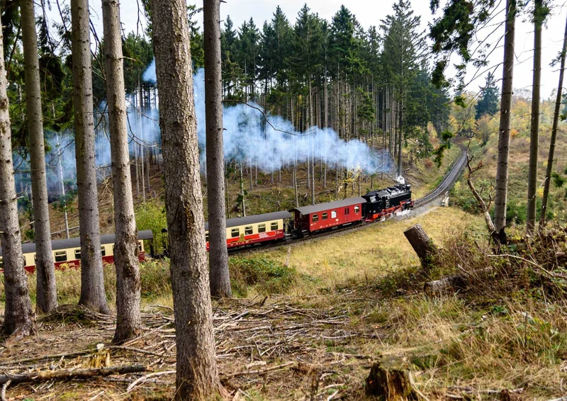 109872 Fortbewegung - Eisenbahn Puzzle