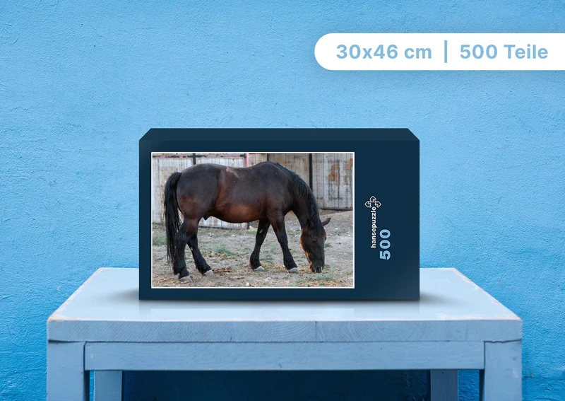 106437 Tierwelt - Pferd Puzzle