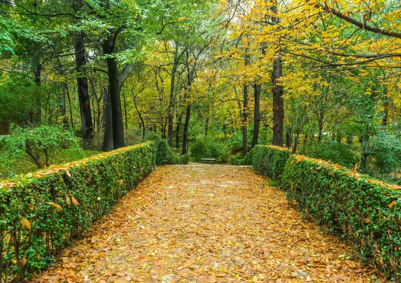 106448 Natur - Park Puzzle