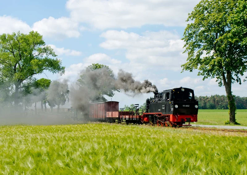 101817 Natur - Lokomotive Puzzle