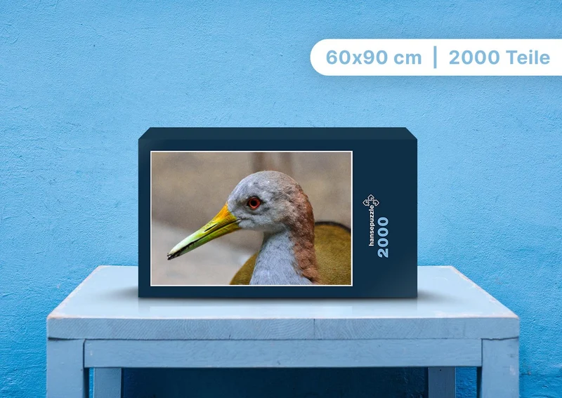 109662 Tierwelt - Vogel Puzzle