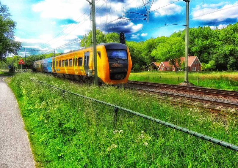 109061 Natur - Zug Puzzle