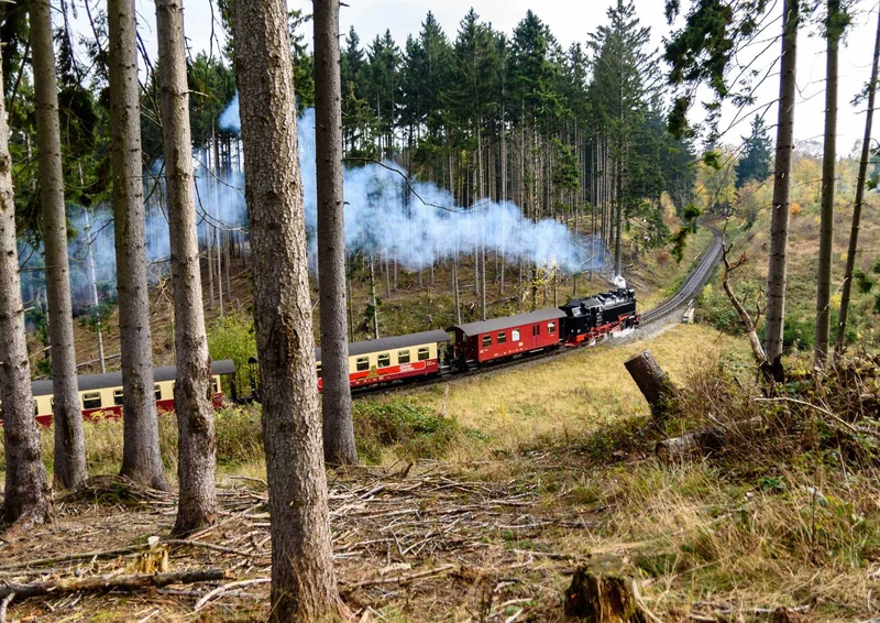 100930 Reisen - Dampflokomotive Puzzle