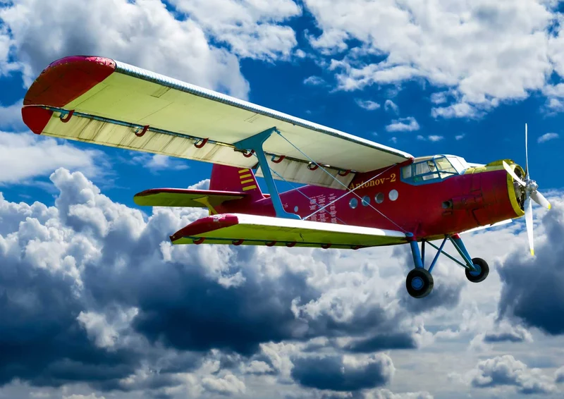 109915 Reisen - Propellerflugzeug Puzzle
