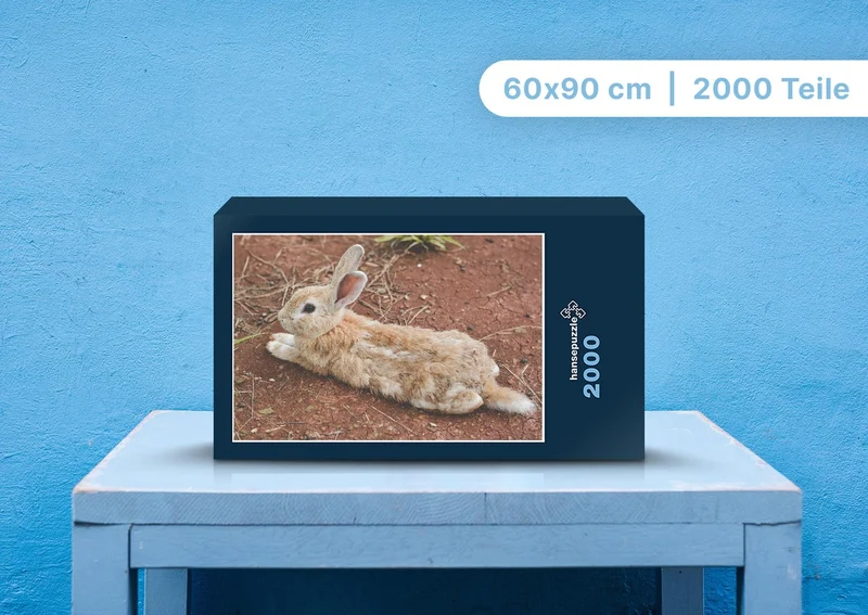 108201 Tierwelt - Hase Puzzle