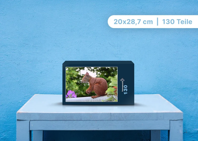108547 Tierwelt - Eichhörnchen Puzzle