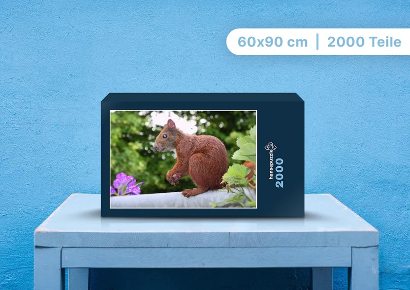 108547 Tierwelt - Eichhörnchen Puzzle