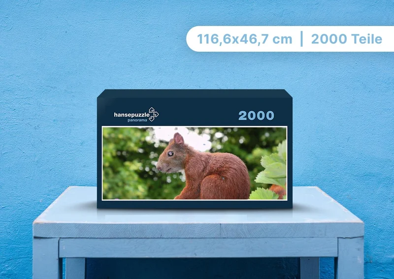 108547 Tierwelt - Eichhörnchen Puzzle