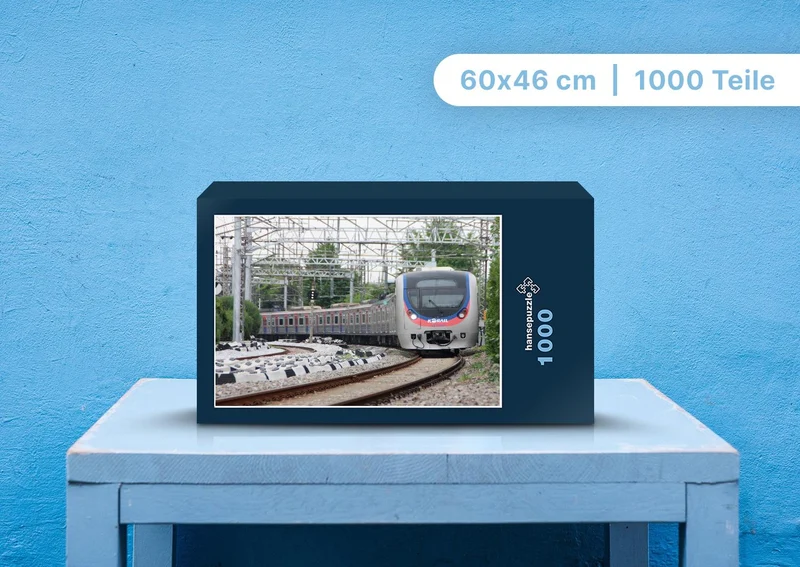 108773 Fortbewegung - Zug Puzzle