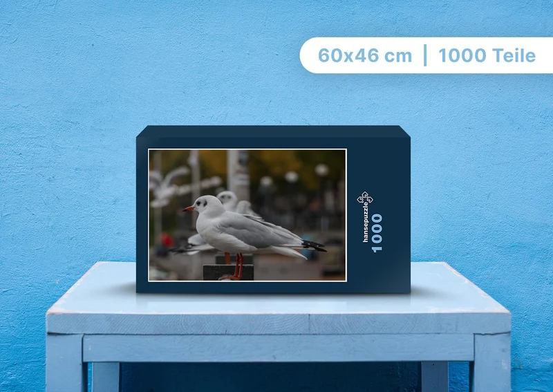 108584 Tierwelt - Möwe Puzzle