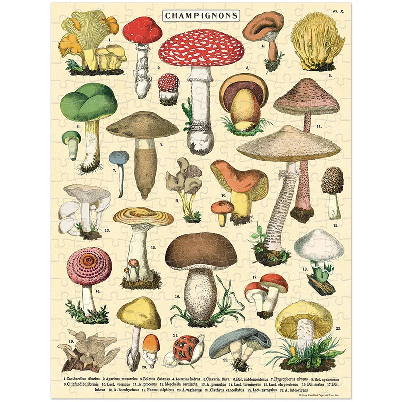 Mini - Mushrooms (240pcs)