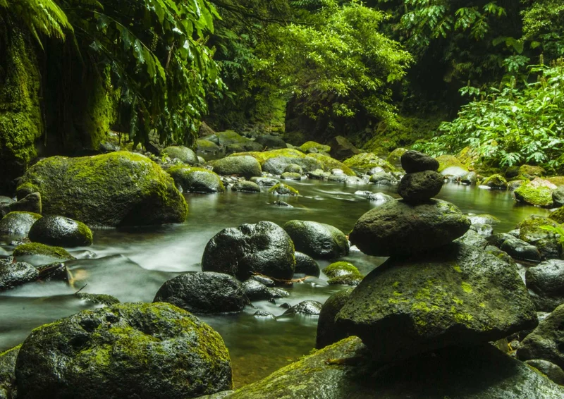 107987 Natur - Tropische Landschaft Puzzle