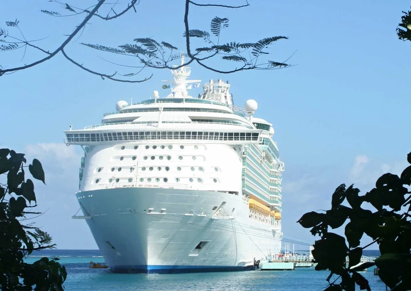 107762 Fortbewegung - Kreuzfahrtschiff Puzzle