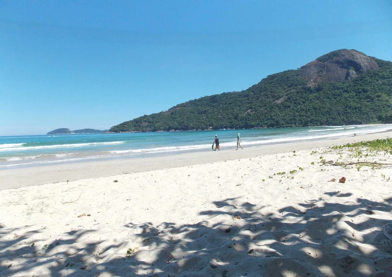 107147 Natur - Tropischer Strand Puzzle