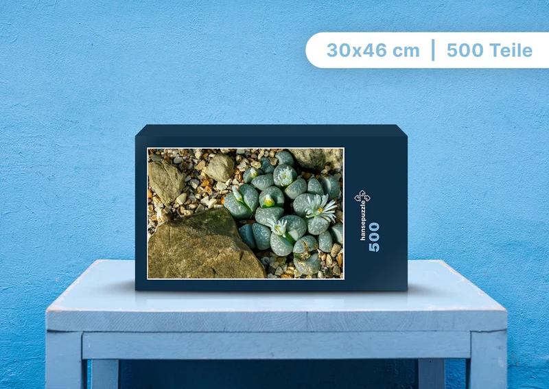 89270 Natur - Lithops Puzzle
