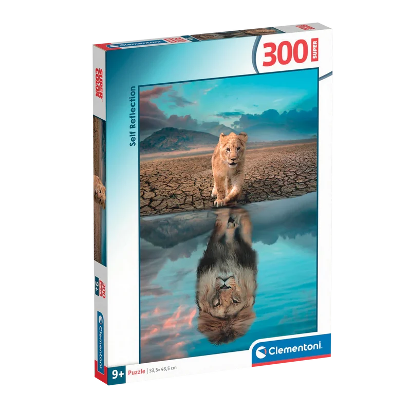 Self Reflection (300pcs)