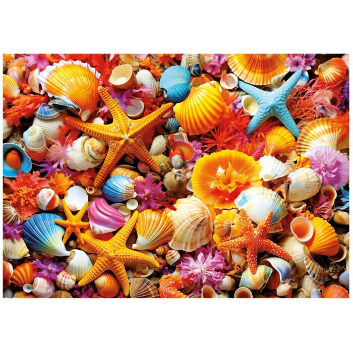 Shell Collage (1000pcs)