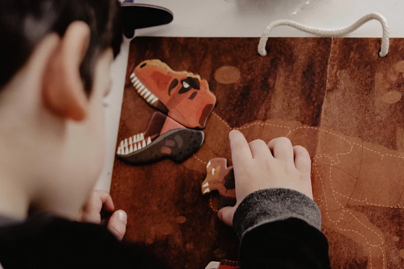 Magnetic Pad - Tyrannosaurus