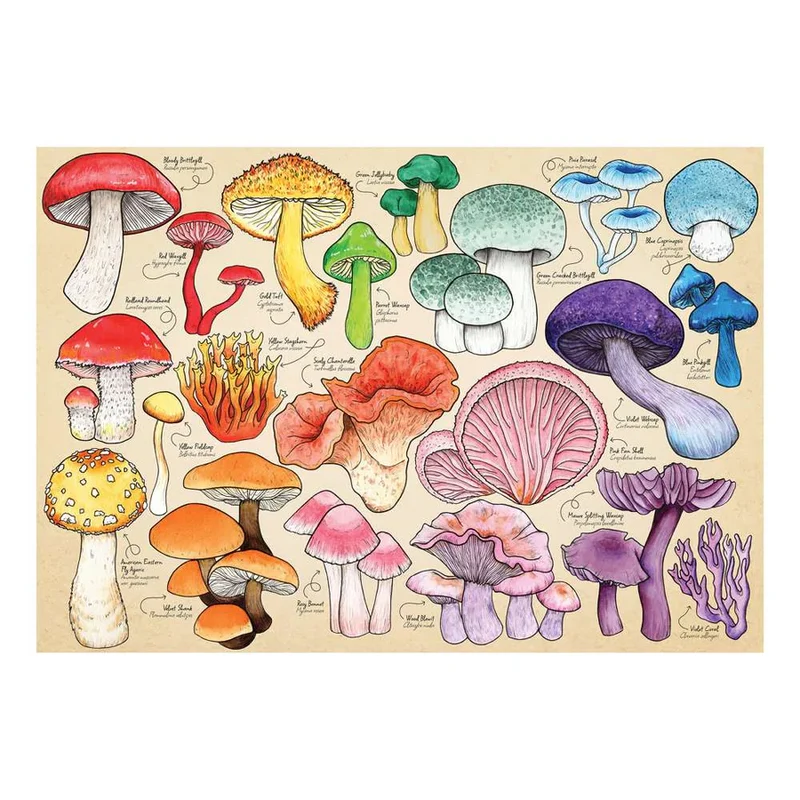 Mushroom Mania (1000pcs)