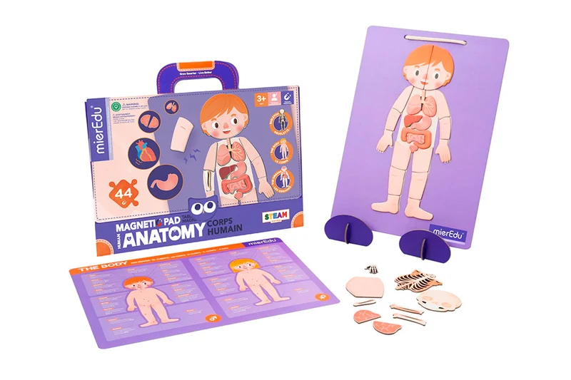 Magnetic Pad - Anatomy