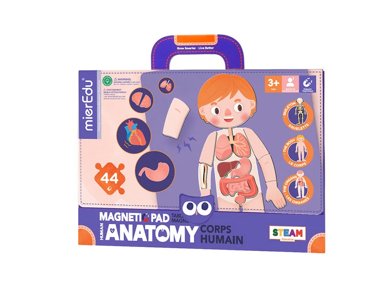 Magnetic Pad - Anatomy