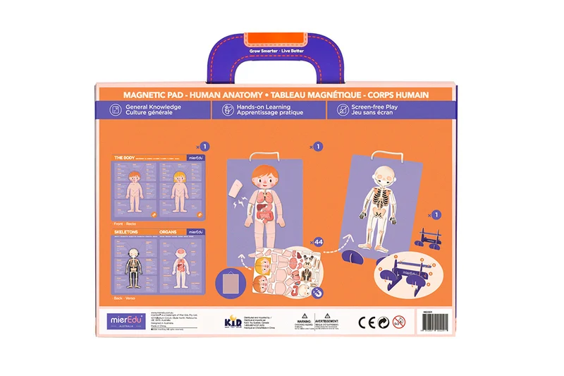 Magnetic Pad - Anatomy