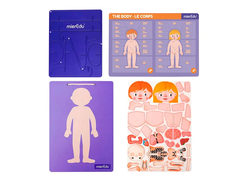 Magnetic Pad - Anatomy