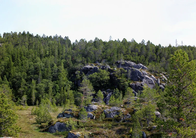 69037 Natur - Norwegen Puzzle