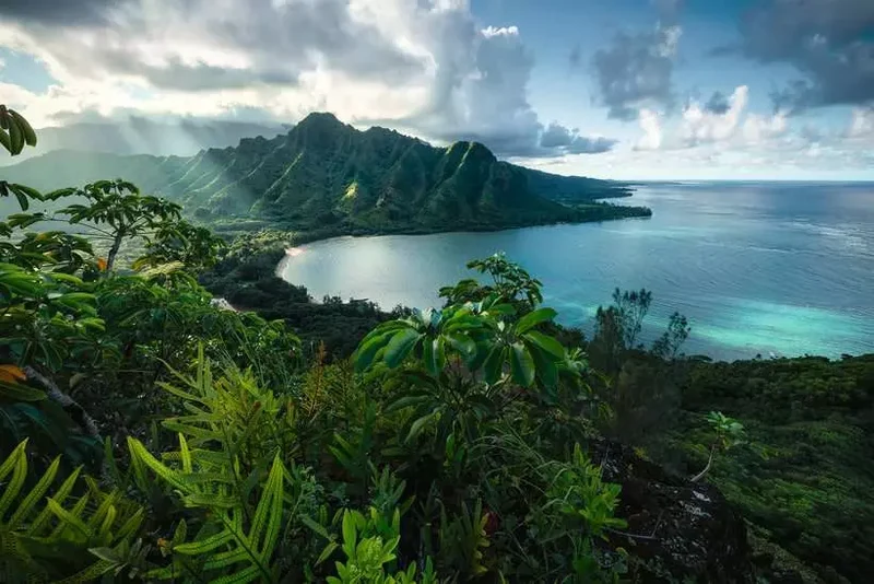 Ravensburger Hawaiian Viewpoint (5000pcs)