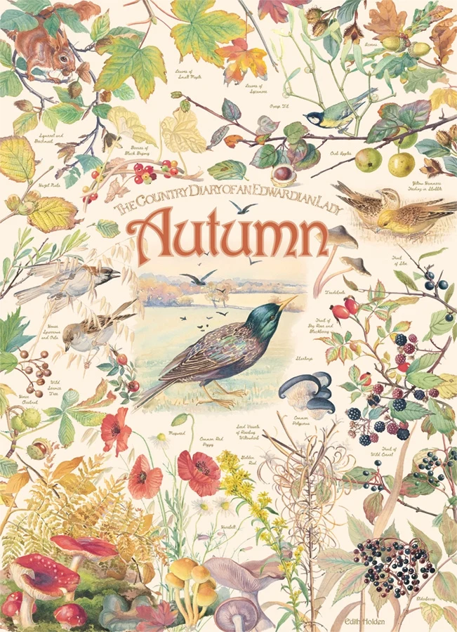 PFG Country Diary: Autumn, Edith Holden (Usage/Used - PUZZLES FOR GOOD)