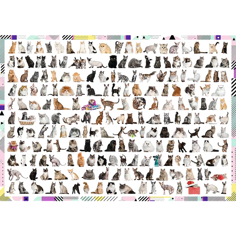 PFG 208 Cats (1000pcs) (Usage/Used - PUZZLES FOR GOOD)