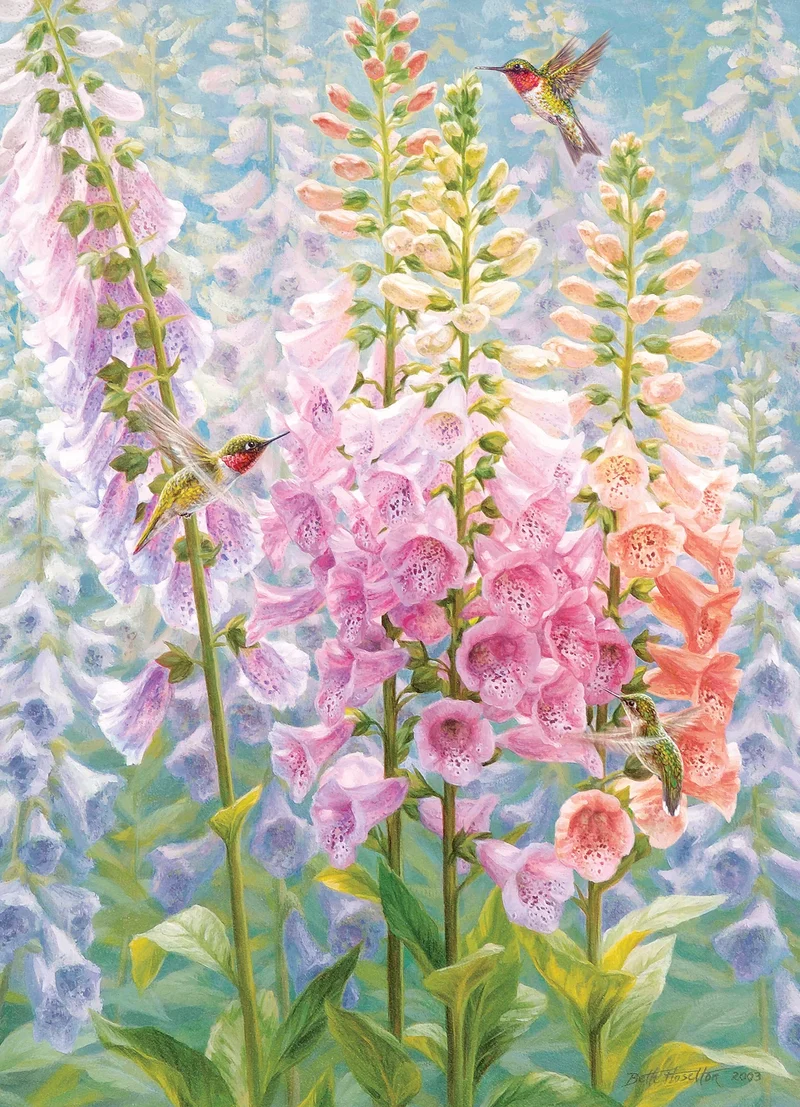 Summer Rainbow, Beth Hoselton (500pcs)