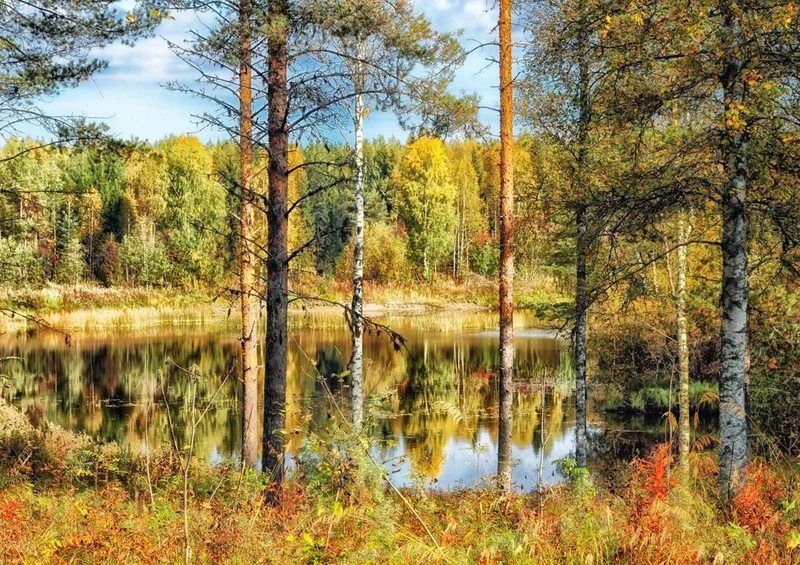 70186 Natur - See Puzzle