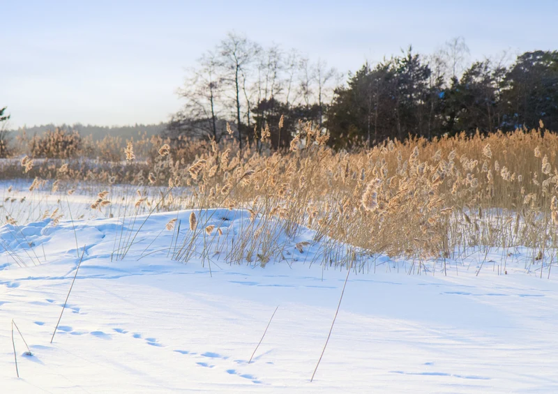 70194 Natur - Winter Puzzle