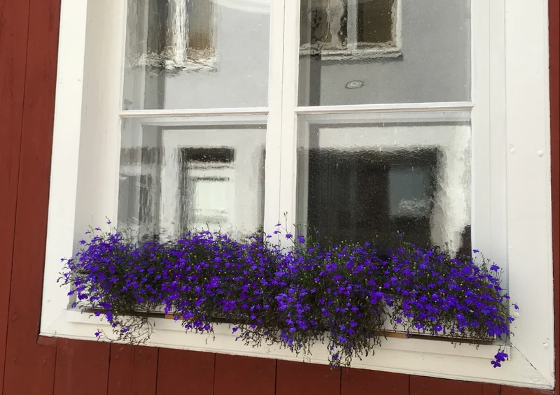 70002 Gebäude - Fenster Puzzle