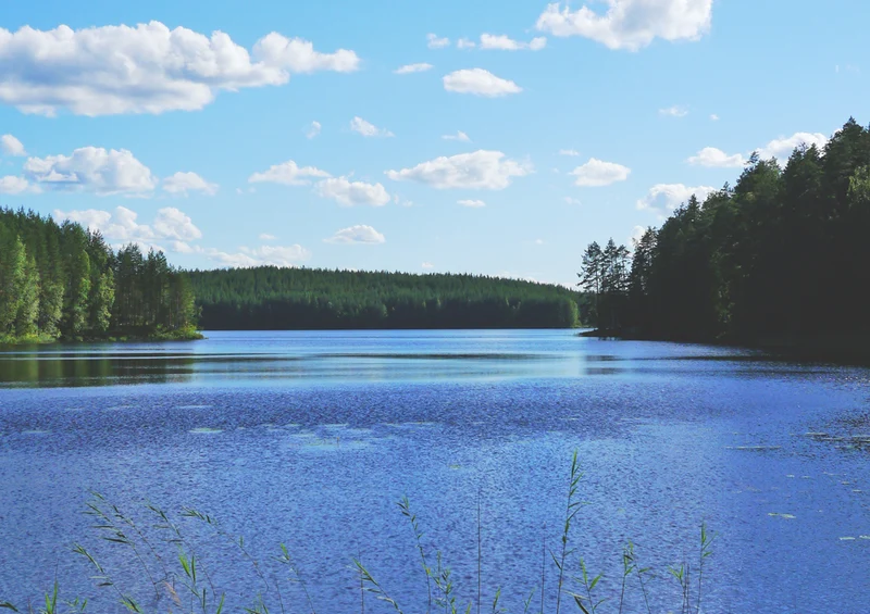 70005 Natur - Finnland Puzzle