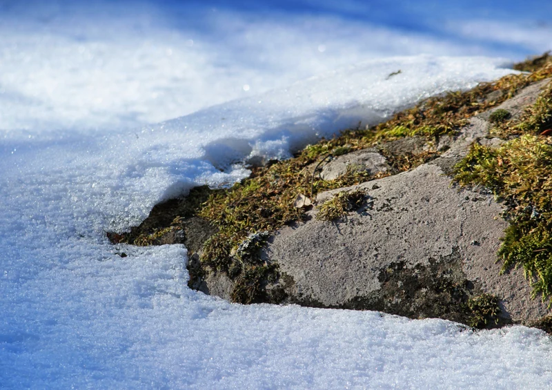 69778 Natur - Finnland Puzzle