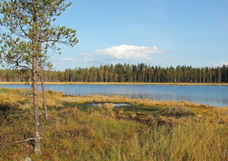 69790 Natur - Finnland Puzzle