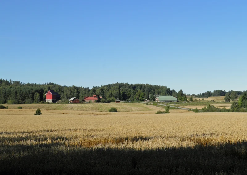 69581 Natur - Finnland Puzzle