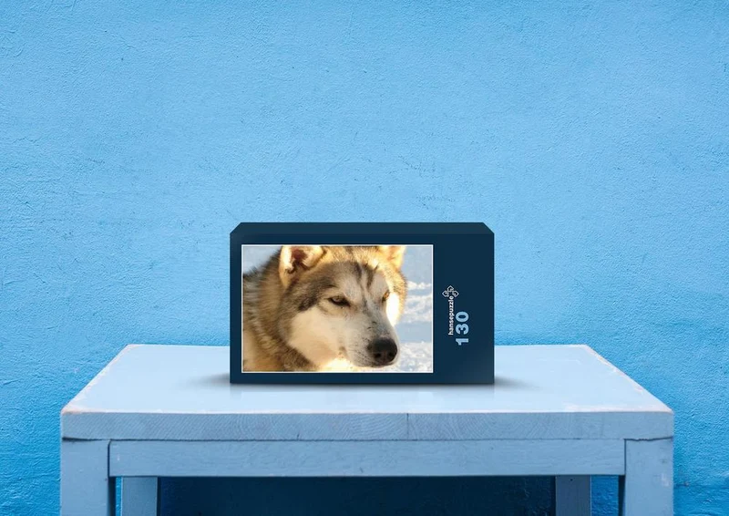 69588 Tierwelt - Husky Puzzle