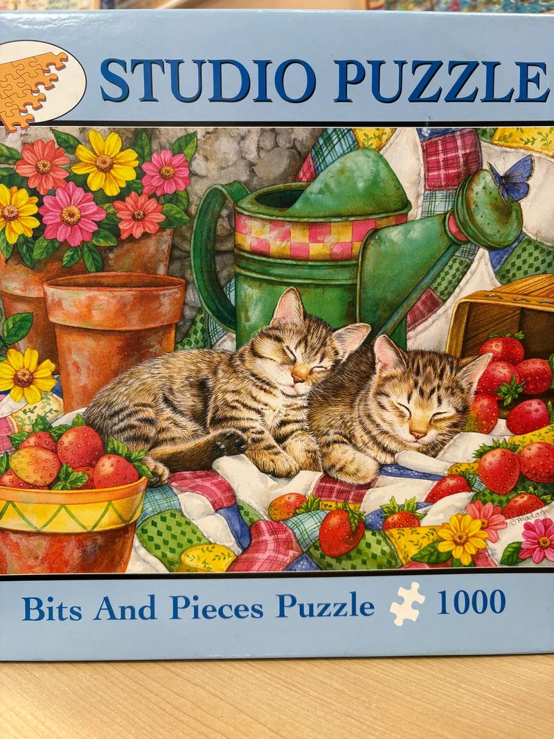 PFG Strawberry Sweethearts (Usagé/Used - PUZZLES FOR GOOD)