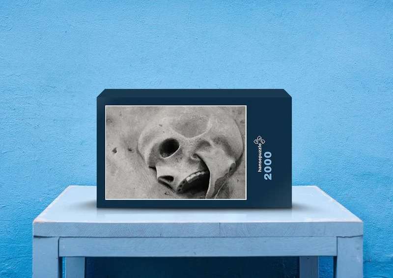 68796 Hintergründe - Fossil Puzzle