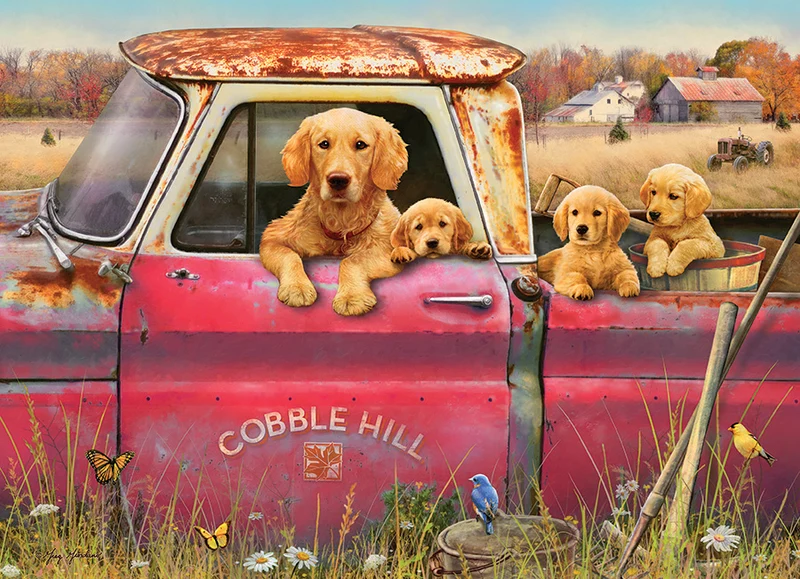 PFG Cobble Hill Farm, Greg Giordano (Usage/Used - PUZZLES FRO GOOD)